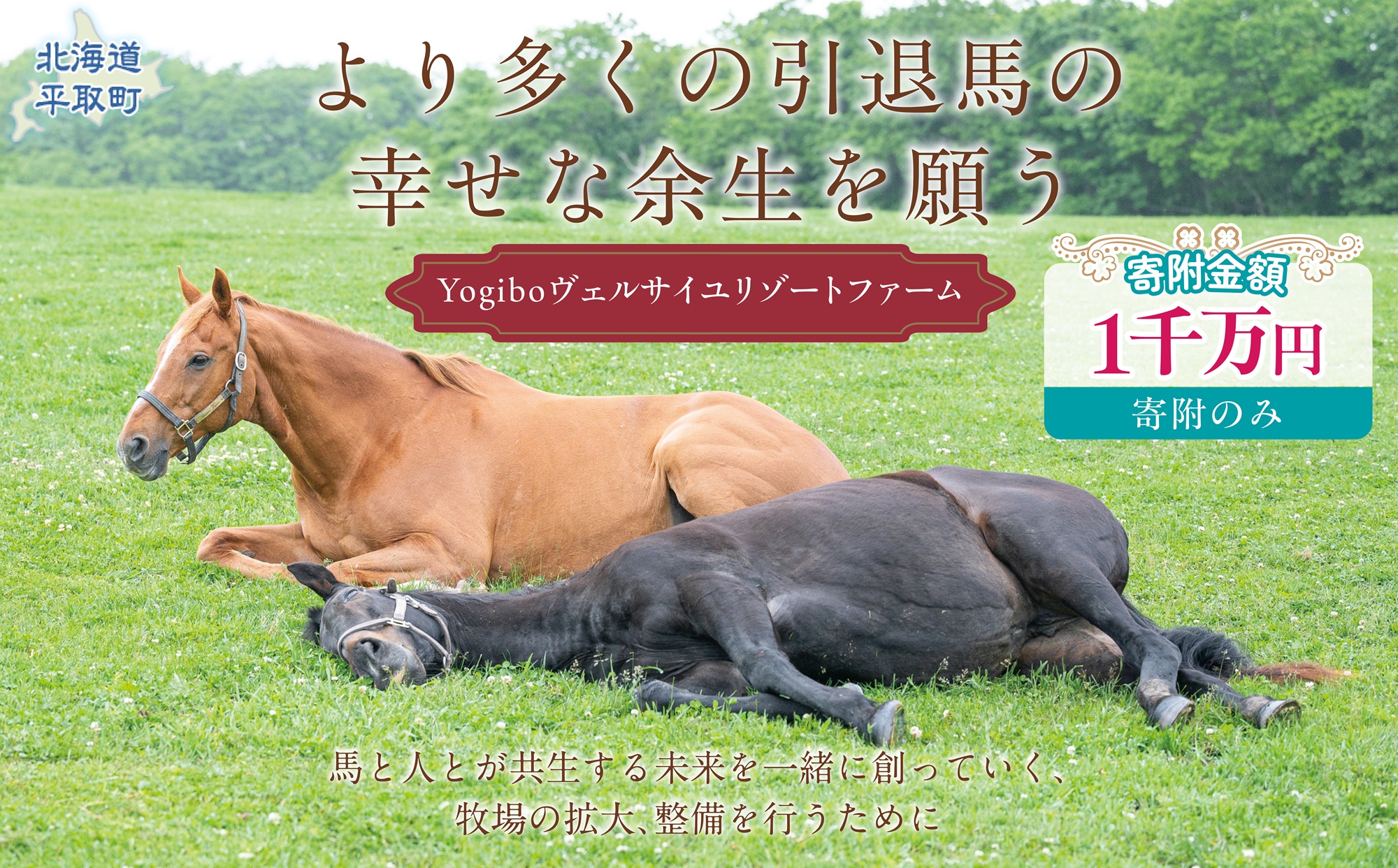 【1000万円コース 返礼品無し】より多くの引退馬の幸せな余生を願う　Yogiboヴェルサイユリゾートファーム BRTV024-07