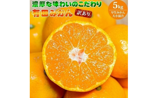 
                  【2026年先行予約】（訳あり 家庭用）濃厚な味わいのこだわり 有田みかん 5kg (早生みかん・大小混合)_EA6034n
                