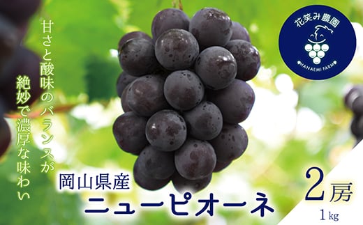 
                  ＜2026年先行受付＞岡山　花笑み農園の『ニューピオーネ』1kg(2房)P-1【1650729】
                