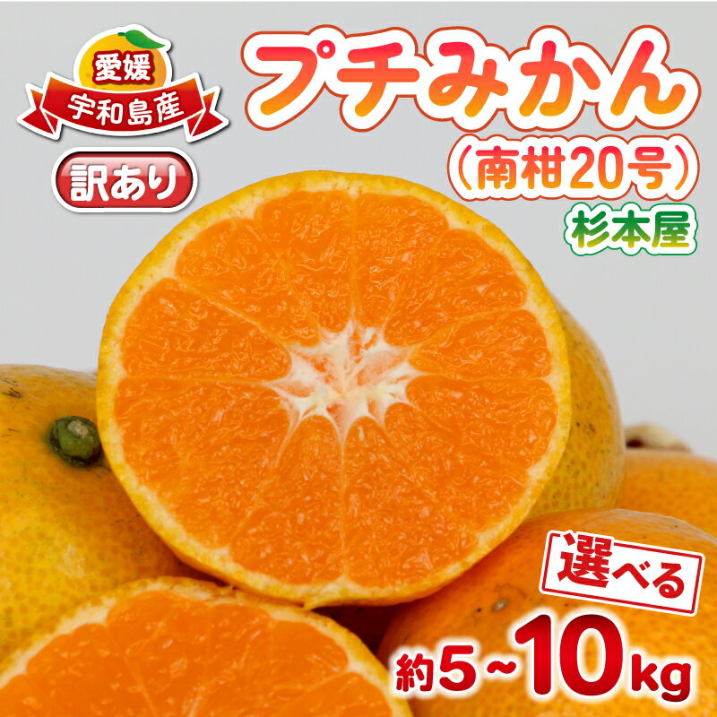 【ふるさと納税】 訳あり プチ みかん 南柑20号 選べる 内容量 5kg~10kg 杉本屋 わけあり 訳あり品 訳アリ 小玉みかん 愛媛みかん 愛媛蜜柑 愛媛ミカン 温州 早生温州 温州みかん 果物 くだもの フルーツ 柑橘 蜜柑 mikan 産地直送 数量限定 国産 愛媛 宇和島