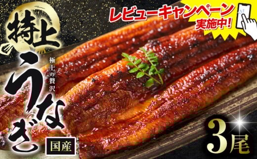 レビューキャンペーン実施中！ うなぎ 鰻 特上 3尾 (1尾当たり180g以上) 福岡県産 鰻の蒲焼き 数量限定 株式会社HOMIE《45日以内に出荷予定(土日祝除く)》福岡県 鞍手郡 鞍手町 鰻 蒲焼き 数量限定 国産 蒲焼 うなぎ蒲焼