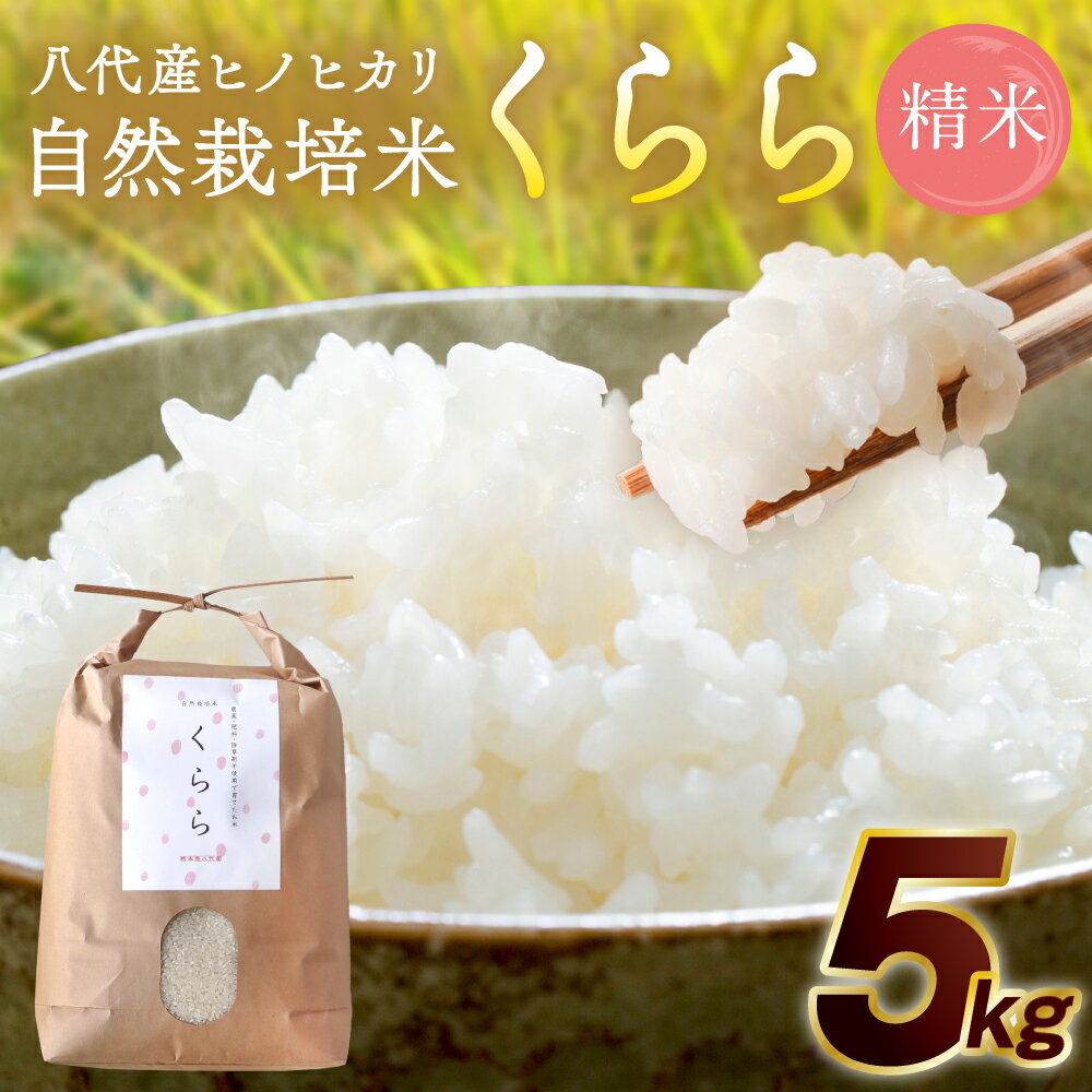 【ふるさと納税】 《令和7年産》 自然栽培米 くらら 精米 5kg （八代産ヒノヒカリ） お米 白米 国産 熊本県 八代市 九州産 送料無料 【2025年11月下旬より順次発送】