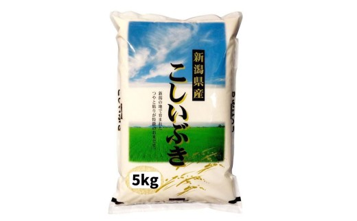 【 令和7年産新米】新潟産 こしいぶき 5kg 白米 精米 1N16016