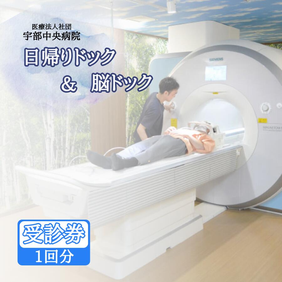 【ふるさと納税】【宇部中央病院】日帰りドック＋脳ドック | 人間ドック 健康診断 健康チェック 動脈瘤検査 不整脈検査 緑内障検査 糖尿病検査 がん検査 脳の健康 脳病気早期発見 脳病気予防 30代健康診断 運動不足検査 肥満傾向検査 健康リスク検査 山口県 宇部市
