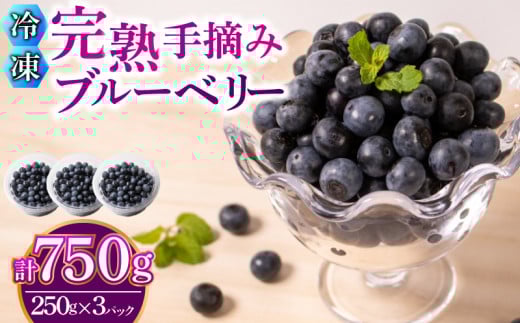 【先行予約受付】【数量限定】 冷凍 ブルーベリー 計 750g 手摘み 【2026年7月より順次発送】 ( 小分け フルーツ 果物 スイーツ デザート 国産 ベリー シャーベット アイス ジェラート ジャム パン パンケーキ ヨーグルト おやつ スムージー 朝食 無農薬 長期保存 ) 下関 山口