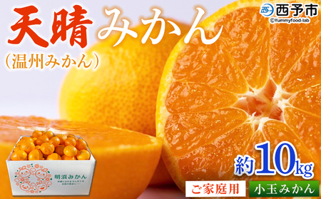 ＜愛媛県明浜産 天晴みかん（温州みかん）約10kg 小玉サイズ＞ 家庭用 訳あり ワケアリ 果物 くだもの フルーツ ミカン 柑橘 特産品 笑丸 愛媛県 西予市【常温】『2026年11月中旬～2027年1月上旬迄に順次出荷予定』AAN0065