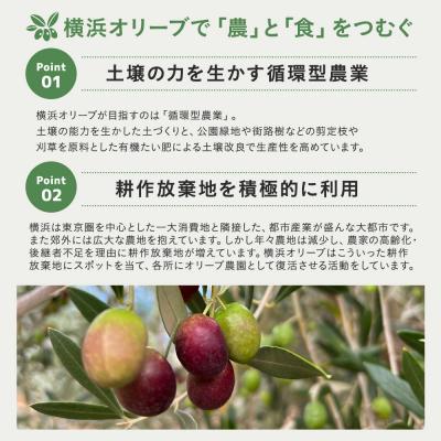 ふるさと納税 横浜市 横浜オリーブ　エクストラバージンオリーブオイル　100ml |  | 02