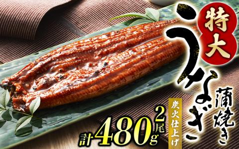 1尾で約240gのビッグサイズ うなぎ蒲焼 2尾 計約480g （タレ・山椒付き） 中国産 鰻 うなぎ うなぎの蒲焼 炭火焼き 炭火 特大サイズ【nks700B】