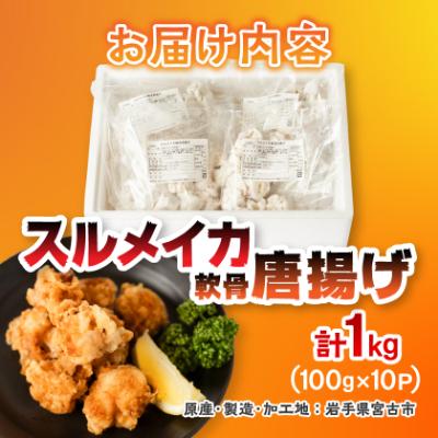 ふるさと納税 宮古市 スルメイカ軟骨唐揚げ100g×10パック(1kg) |  | 03