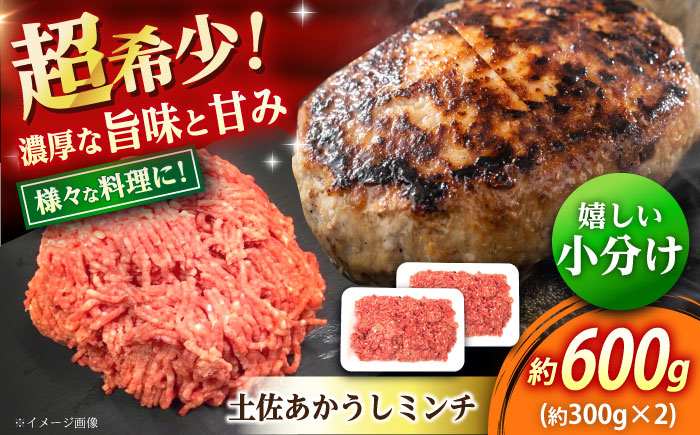 高知 土佐あかうしミンチ 約600g（約300g×2パック） / 高知県 土佐 あかうし 赤牛 和牛 お肉 牛肉 牛 ミンチ 贈答 ギフト 贅沢 　【焼肉寛十郎】 [ATDO007]