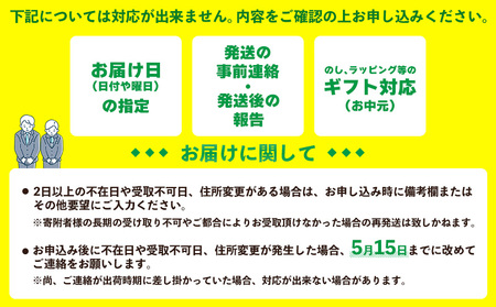 【2024年発送】久米島印商店 スナックパイン2kg