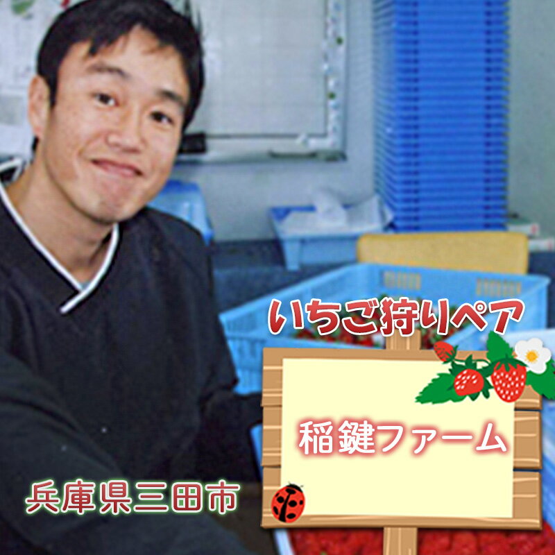【ふるさと納税】稲鍵ファーム ( いちご狩りペア券 ) いちご 苺 いちご狩り フルーツ狩り 果物狩り イチゴ 体験 チケット 体験型 お出かけ レジャー ギフト お祝い 期間限定 ふるさと納税 ふるさと 人気 おすすめ 送料無料 兵庫県 三田市[ 3d28bae660011 ]