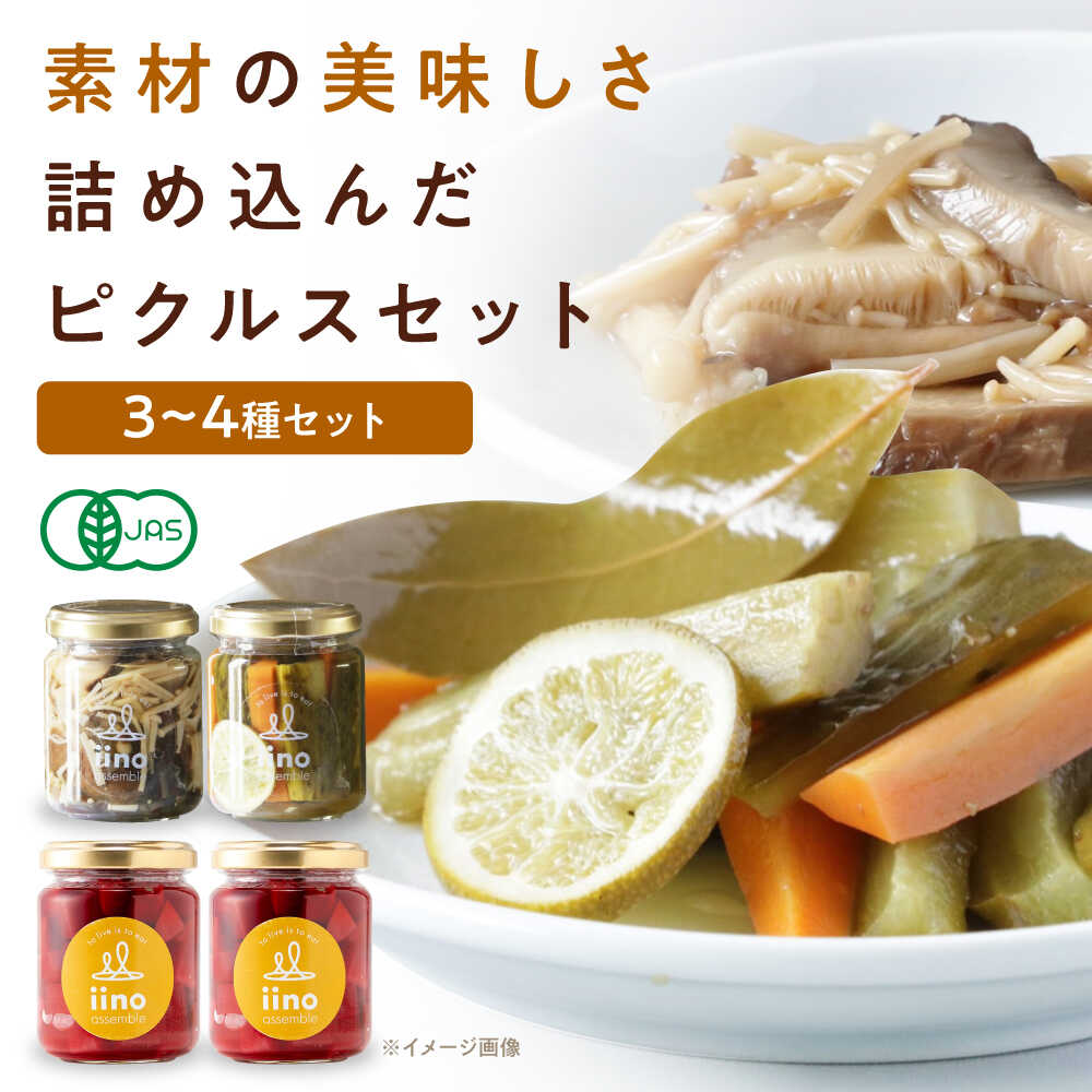 【ふるさと納税】惣菜 ピクルスセット 4個入り 愛媛県大洲市/iino assemble[AGAA015] ピクルス 野菜 やさい 詰め合わせ セット 加工食品 漬物 お漬物 おつけもの しいたけ えのき きのこ 料理 アレンジ 簡単 副菜 おすすめ 人気 お取り寄せ 贈答 ギフト
