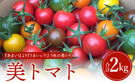 【数量・期間限定】美トマト(5色) 2kg ミニトマト 野菜 ギフト