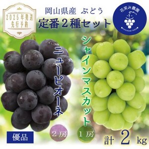 岡山　花笑み農園の『ニューピオーネ＆シャインマスカット』2kg優品　PS-2優【9月中旬～順次発送】【配送不可地域：離島】【1593506】