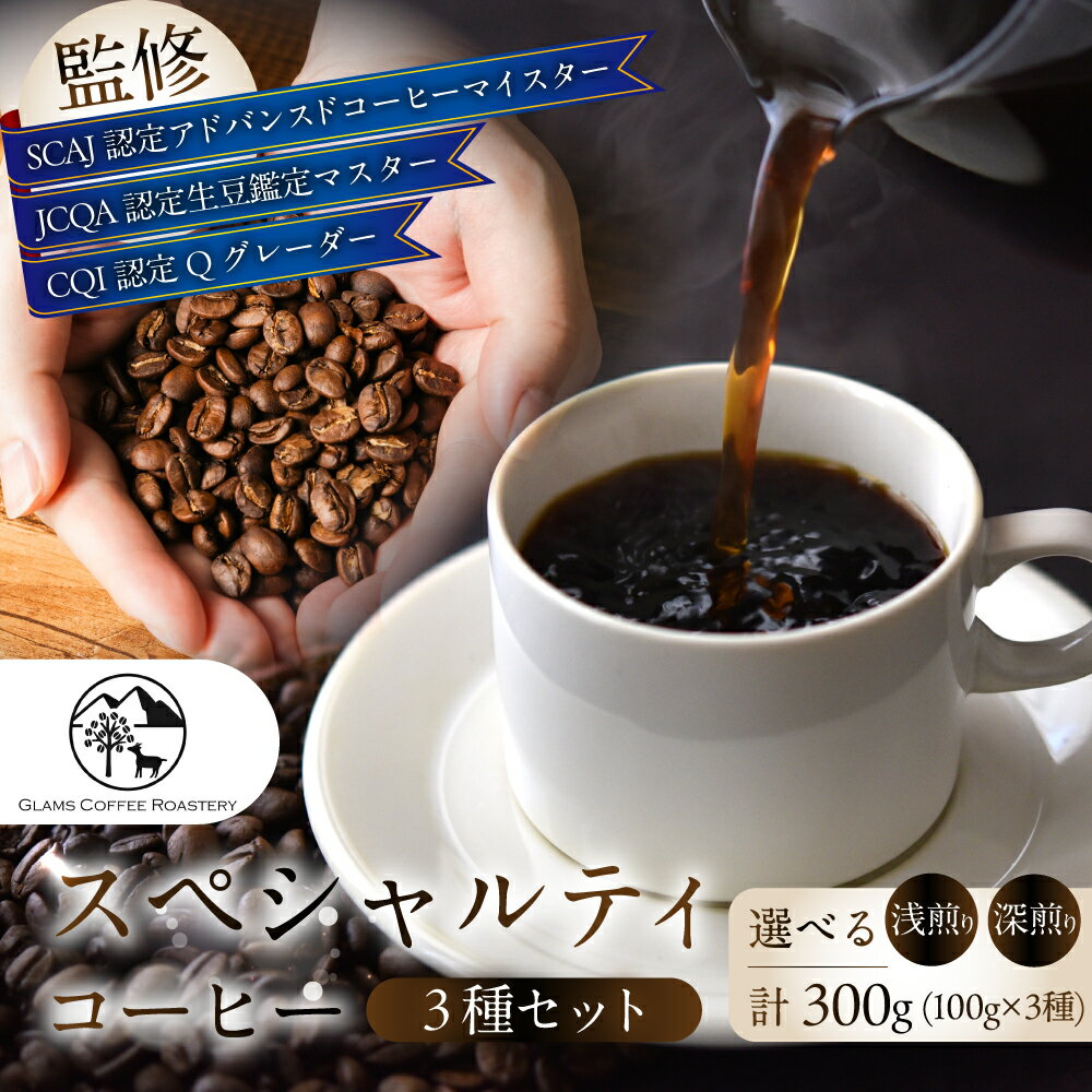 【ふるさと納税】スペシャルティコーヒー豆 3種セット 計300g ≪選べる 深煎り / 浅煎り≫ コーヒー豆 コーヒー 豆 焙煎 自家焙煎 スペシャリティ スペシャリティコーヒー おいしい おススメ ブレンド シングル 珈琲 珈琲豆 浅煎り 深煎り 送料無料 愛知県 豊橋市