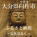 【ふるさと納税】大分県臼杵市　返礼品なし 50,000円（寄附のみの受付となります）