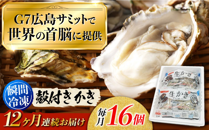 
            広島G7で提供された牡蠣！【全12回定期便】やながわ自慢！ 殻付き 牡蠣 16個(瞬間冷凍) 牡蠣 かき カキ 殻つき 瀬戸内 広島  ＜マルサ・やながわ水産有限会社＞江田島市[XBL014]
          