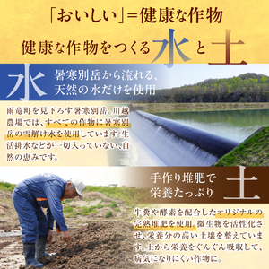 【最短4～7営業日発送】令和7年産 おぼろづき 10kg (5kg×2袋) 雨竜産 北海道