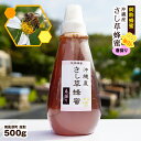 【ふるさと納税】純粋蜂蜜　沖縄産　さし草蜂蜜　春採り　500g　南風原町採取