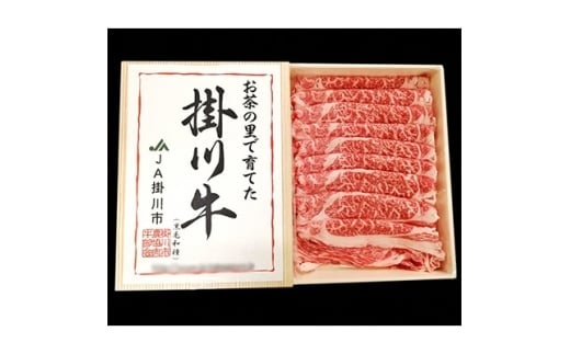 掛川牛(黒毛和種)しゃぶしゃぶ用 500g(冷凍)【1670595】