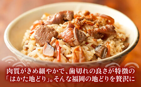 地どり飯の素 セット 190g×3袋 [VBA008] 鶏飯 鶏めし ご飯の素 地鶏飯