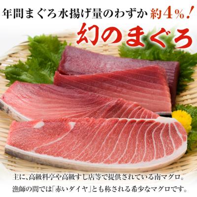 ふるさと納税 いちき串木野市 南マグロ味わいセット(南まぐろ中トロ200g・赤身200g) |  | 02