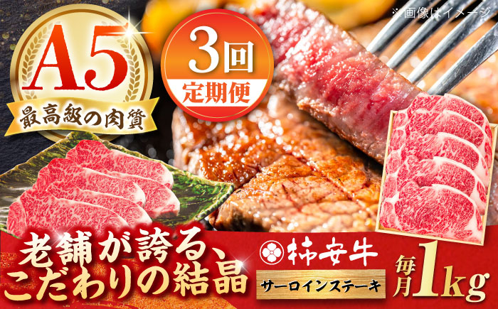 
                  【3回定期便】最高級A5等級 三重県産 黒毛和牛 柿安牛 サーロインステーキ 1000g / 国産牛 ブランド牛 牛肉 冷蔵 / 亀山市 / 柿安本店 [AMBW030]
                