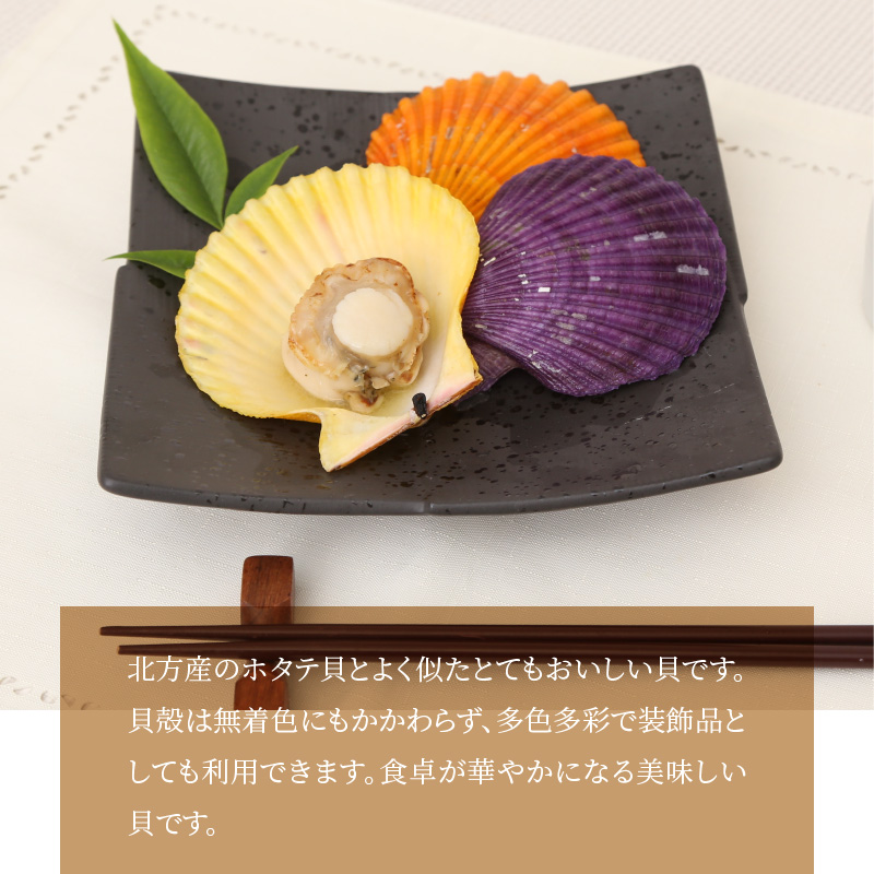 S021-003_熊本県天草崎津産 緋扇貝（ひおうぎがい）彩り 16枚