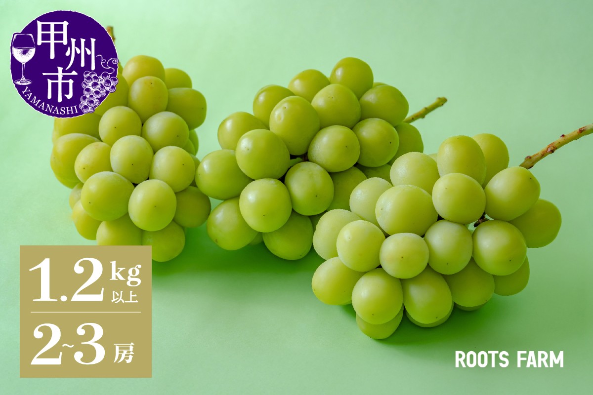
                  《選べる発送年度》【数量限定】高品質なROOTS FARMシャインマスカット 1.2kg以上 2～3房入【2026年発送】【2027年発送】（RO）B12-135【シャインマスカット 葡萄 ぶどう ブドウ 令和8年発送 令和9年発送 山梨県産 甲州市 ギフト フルーツ 】
                