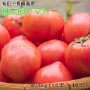 【ふるさと納税】長峰高原・有田産の桃太郎トマト約3kg★2025年8月より順次発送