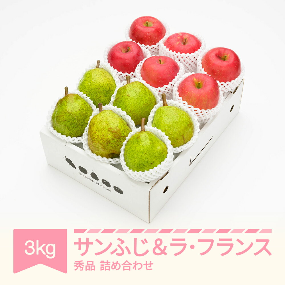 【ふるさと納税】 【先行予約】サンふじ ＆ ラ・フランス 3kg 令和8年産 2026年産 山形県産 りんご 林檎 ラフランス 洋梨 果物 送料無料 ns-fsrlx3