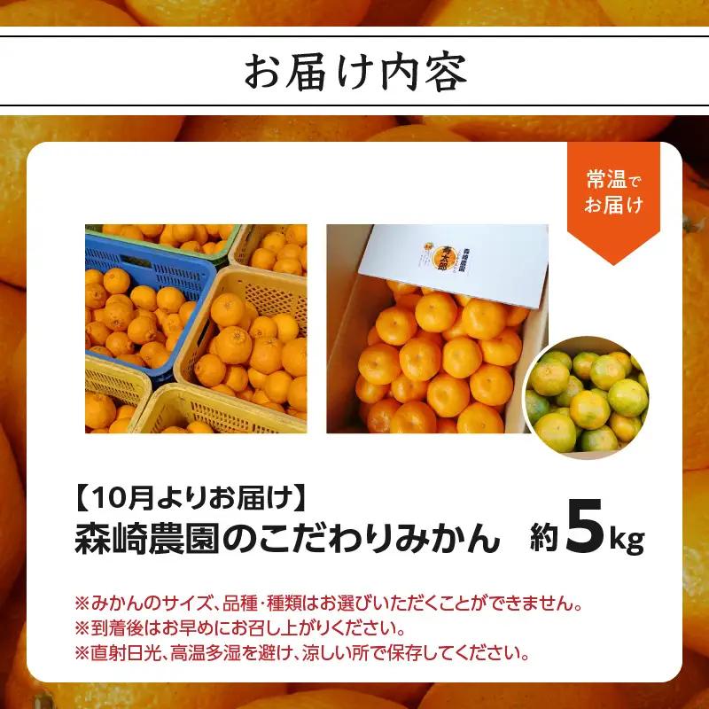 森﨑農園のこだわりみかん 約5kg 極早生～ 早生～蔵出しまで C09023