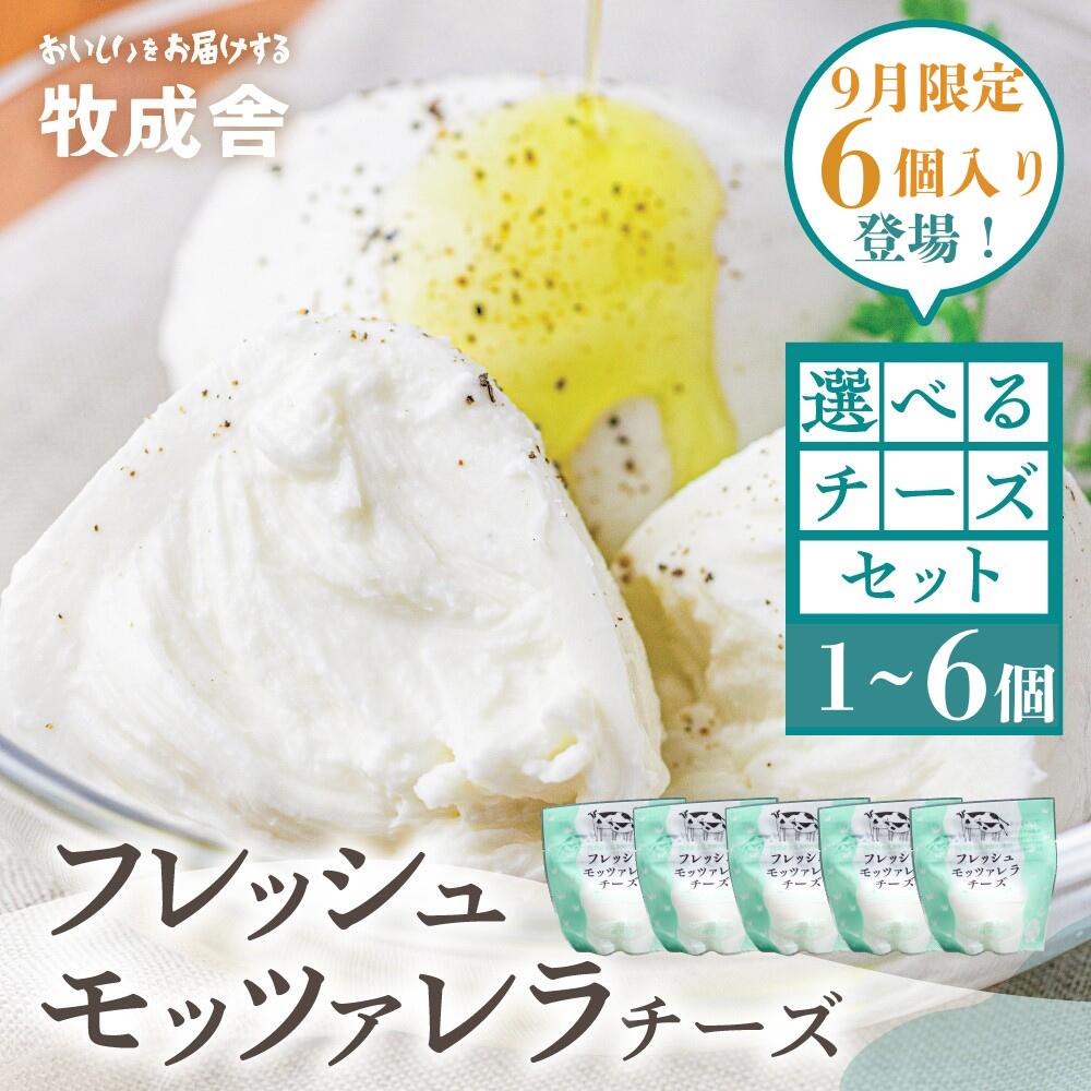 牧成舎 牛乳屋がていねいに作ったフレッシュモッツァレラチーズ 3個