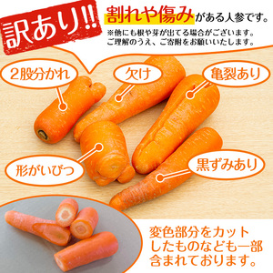 湧水町産有機にんじん10kg (訳あり) にんじん_y161