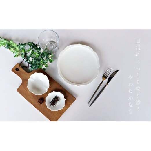 有田焼 白マット 桔梗渕 3点 セット【深海三龍堂】食器 器 うつわ 和食器 小鉢 お皿 小皿 銘々皿 取り皿 菓子皿 豆皿 おもてなし 高級感 陶磁器 25000円 A25-623_イメージ5