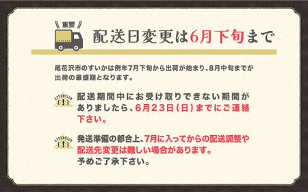 先行予約 スイカ すいか 尾花沢産スイカ 5Lサイズ 約10kg×1玉 7月下旬～8月中旬頃発送 尾花沢 スイカ すいか 令和6年産 2024年産 観光物産 kb-su5xx1