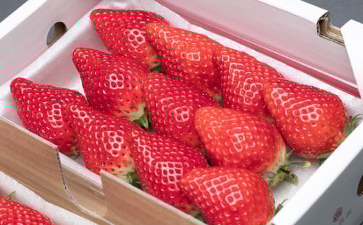 【先行予約】あまりん【2パック×280g】まなこころ・楓 ｜ あまりん アマリン イチゴ 苺 いちご かえで 新鮮 中粒 箱 2P 真心農園 果物 フルーツ 自然 甘い 美味しい ジューシー ビタミン