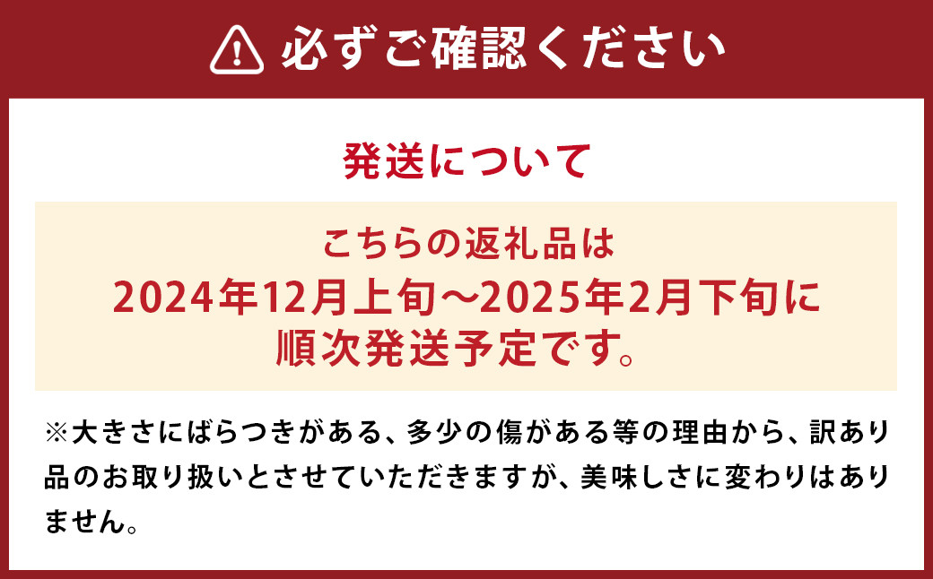 【訳あり】 太陽と潮風を浴びて育った 長崎県時津町産 温州みかん 約10kg 