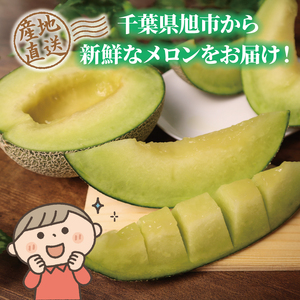 【2026年 先行予約 】贈答用 貴味メロン 青肉 4玉 メロン メロン メロン メロン メロン メロン メロン メロン