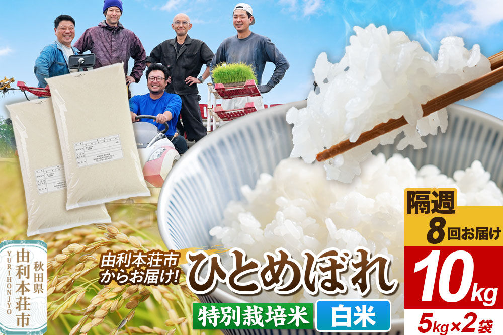 《2週間毎お届け》【定期便8回】令和8年産 新米受付【白米】ひとめぼれ 10kg（5kg×2袋）特別栽培米   秋田県産 [ひとめぼれ 新米予約 米 お米 白米 精米 特別栽培米 ブランド米 食卓 お