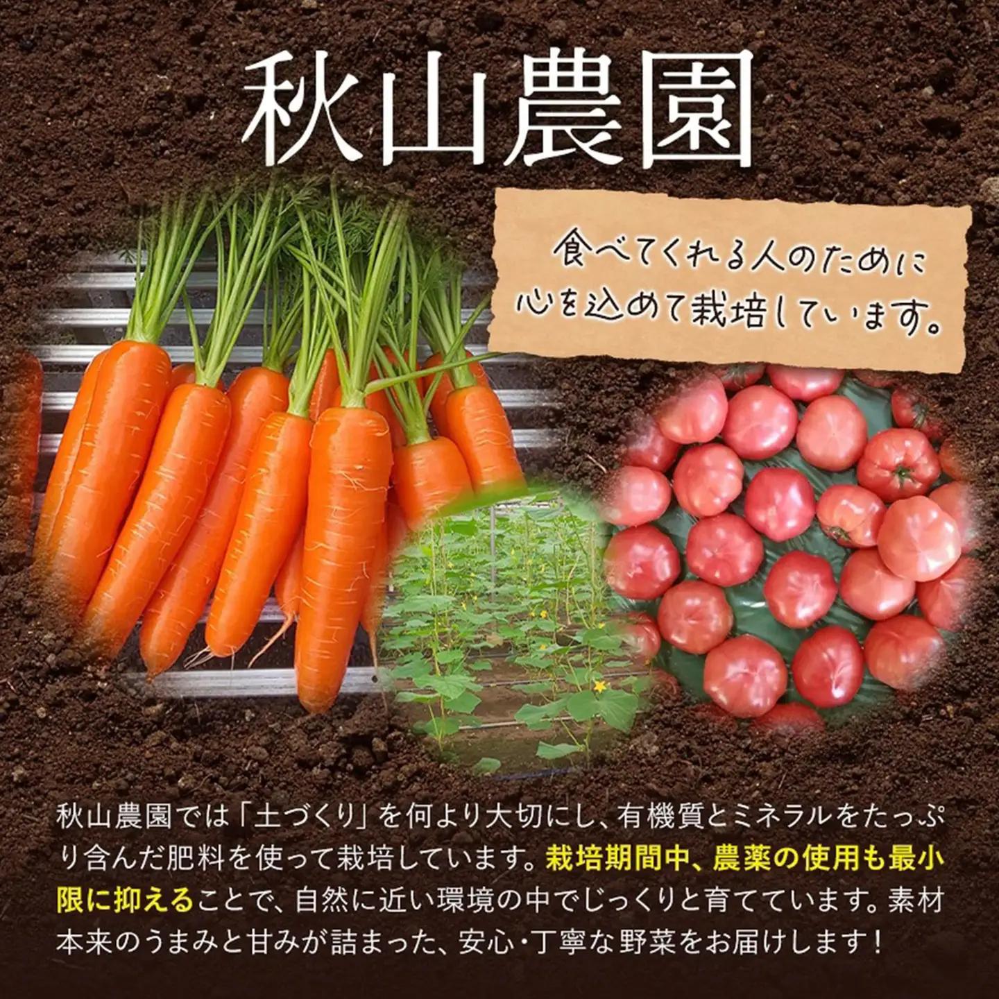 きゅうり 約2.8kg 秋山農園