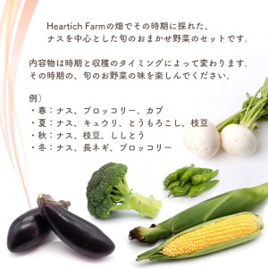  Heartich Farm旬の野菜セット（おまかせ3種）