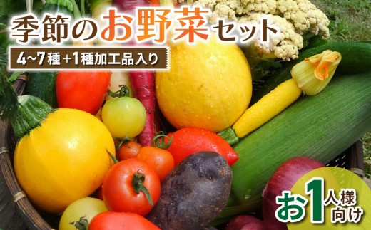 
                  お試し季節のお野菜と加工品セット（お一人様向け）｜５〜８種類の野菜・加工品詰め合わせ【アグロノーム】
                