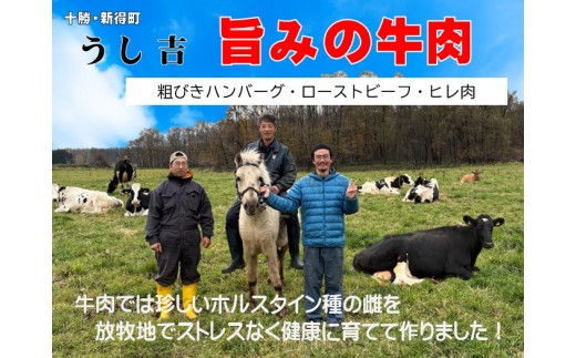 AN-0501 粗びきハンバーグ5個セット