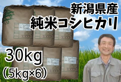 【ふるさと納税】【令和7年産】新潟県産 純米コシヒカリ 30kg （5kg×6袋） 新潟県 阿賀野市 白米 精米 米 こめ ごはん コシヒカリ こしひかり さいとう農園