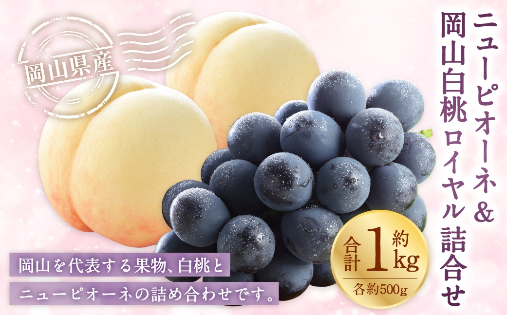 
                  岡山県産 岡山白桃 ロイヤル 2Lサイズ 約250g×2玉・ ニューピオーネ 約500g×1房 詰合せ ぶどう ブドウ 葡萄 くだもの 果物 果実 フルーツ 国産 白桃 モモ もも 桃 家庭用 ギフト 贈り物 贈答 【 2026年7月上旬～8月下旬発送予定 】
                