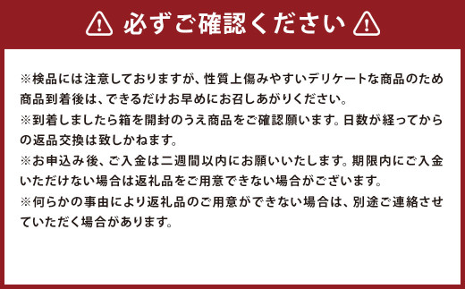 スイートコーン 味来 2Lサイズ 13本入×2箱 計26本 （JA） コーン とうもろこし トウモロコシ 国産 冷蔵 【2026年8月下旬～9月上旬迄発送予定】_イメージ3