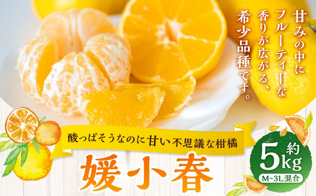 
                  【 酸っぱそうなのに甘い不思議な柑橘 】 媛小春 約5kg みかん ミカン 柑橘 柑橘系 柑橘類 くだもの 果物 フルーツ 果実 果汁 果肉 国産 愛媛県産 薄皮 【 2027年1月下旬～3月下旬発送予定 】 ( 1086 )
                