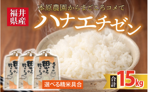 【先行予約】【令和8年産・新米】 ハナエチゼン15kg(5kg×3袋) ～本原農園からまごころコメて～（玄米）【2026年9月上旬以降順次発送予定】 [C-8910]